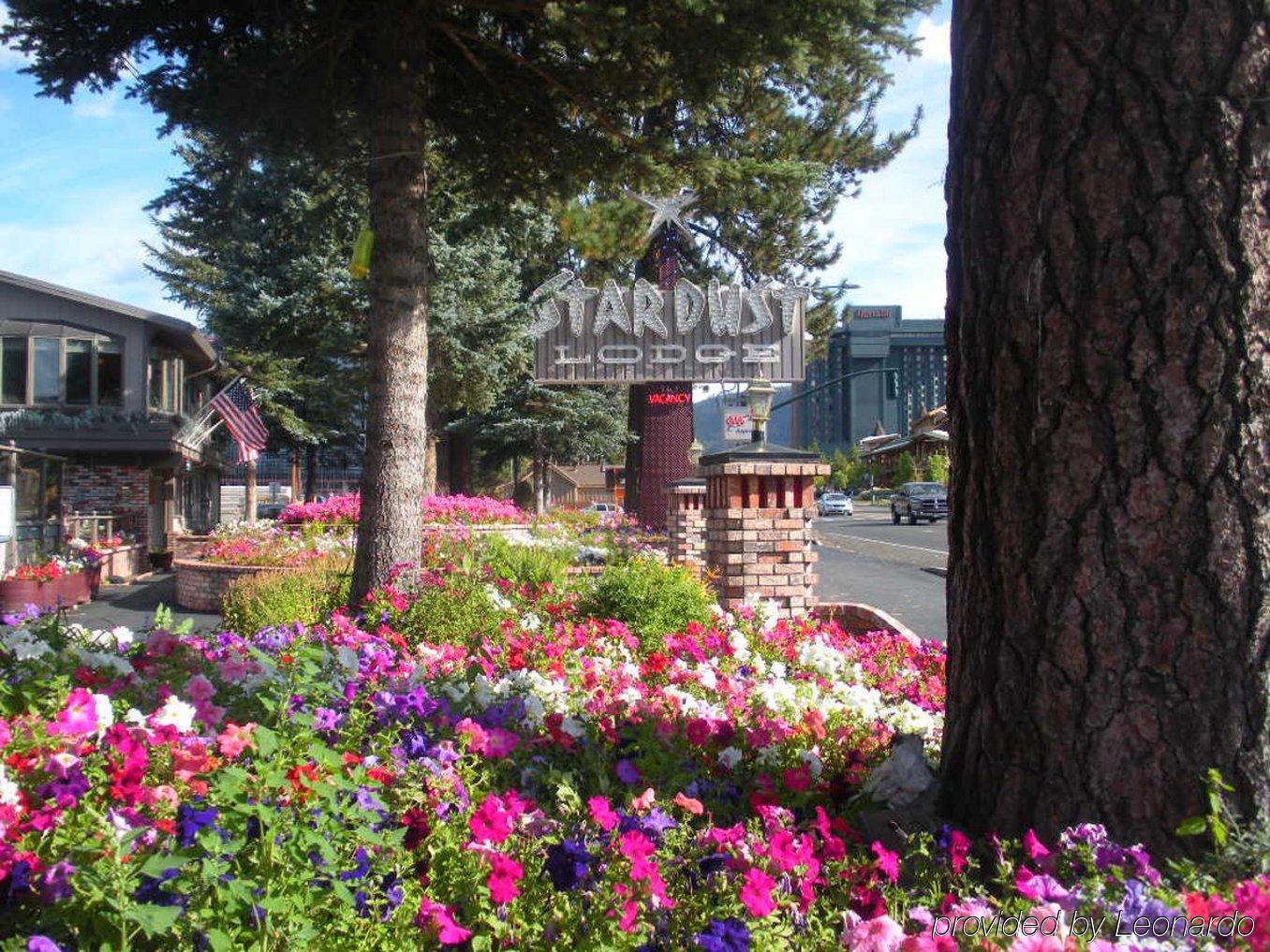 סאות' לייק טאהו Stardust Lodge מראה חיצוני תמונה